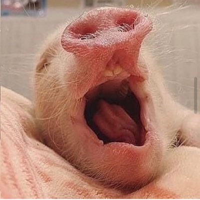 quang7997's profile picture. 