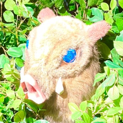 ren_056's profile picture. OUA D23 PD/コミュ障/コミュ障/コミュ障/陰キャ/陰キャ/陰キャ