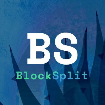 blocksplit Profile Picture