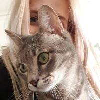 Blaze 🐱 (@vetoandphysio) 's Twitter Profile Photo Blaze 🐱 (@vetoandphysio) 's Twitter Profile Photo