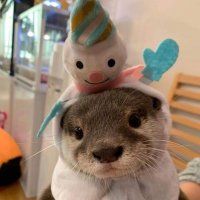 marsy (@marsonval) 's Twitter Profile
