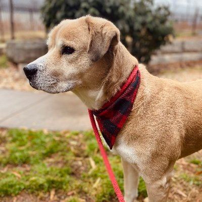 crewsgore's profile picture. 