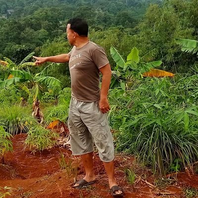 NandeIchwan's profile picture. 