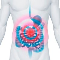 ImmunoBiotics (@immunobioticlab) 's Twitter Profile