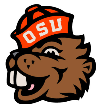 OSUWBB_Believer Profile Picture