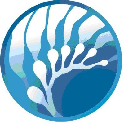 Cultivo y desarrollo de algas
Desarrollamos bioestimulantes para agricultura, dietas para acuicultura, productos de consumo humano y comética