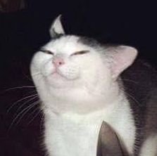 redactedpotato's profile picture. 25+ || PT/ENG || Terato; Furry; Monsterfucker || Minors and Antis DNI 🔞 - Ship and let ship.