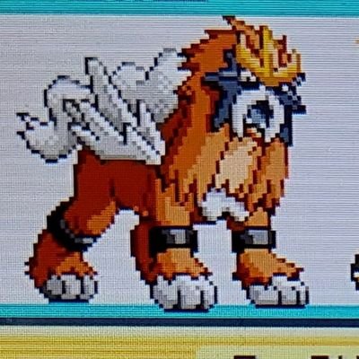 prefer to hunt full odds /
i love gen 3 GBA & and gen 4 hunting / good old times when shinies were rare und there was no method hunting