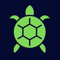 Defi Turtle (π,π§‘) (@defi_turtle) 's Twitter Profile