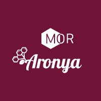 Mor Aronya(@moraronya) 's Twitter Profile Photo