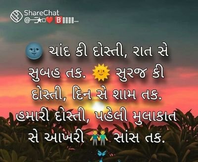 ShabibPatel's profile picture. 