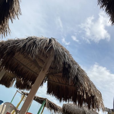 ivim's profile picture. 