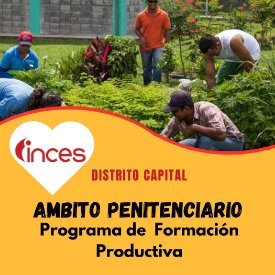 Programa de Formación Productiva INCES Ámbito Penitenciario  para la Reinserción Socio Laboral, dirigido a Jóvenes, Adult@s en Conflicto con la Ley Penal.