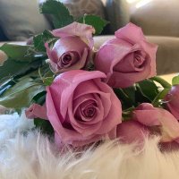 العمر لحظه🌹🌹 (@shamsalsadh) 's Twitter Profile Photo العمر لحظه🌹🌹 (@shamsalsadh) 's Twitter Profile Photo