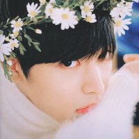 선 (@115kitten) 's Twitter Profile Photo 선 (@115kitten) 's Twitter Profile Photo