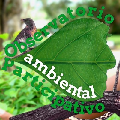 Somos una estrategia de convergencia para organizaciones e instituciones interesadas en el tema de la biodiversidad que buscan dejar una capacidad instalada en