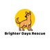 💛Brighter Days Rescue dogs💛 (@BDR_dogs) Twitter profile photo