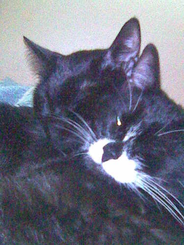 shaunah2o's profile picture. 