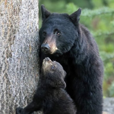 SamQX's profile picture. 