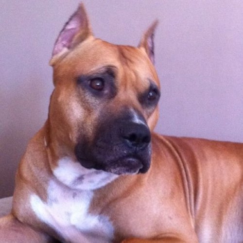 borja_nav's profile picture. 