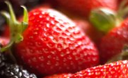Diabetic University provides diabetics around the world with the diabetes information and education necessary to help fight this disease.