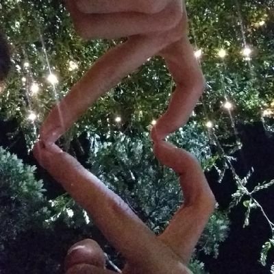 geekart212's profile picture. 