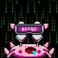 Hashcrabs (@hashcrabs) 's Twitter Profile