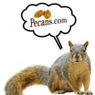 Premier online destination for fresh shelled Texas pecans. Pecan pie, pecan cobbler, homemade fudge, custom gift baskets, and many other unique gift items!