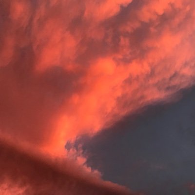 SunsetAriette's profile picture. 