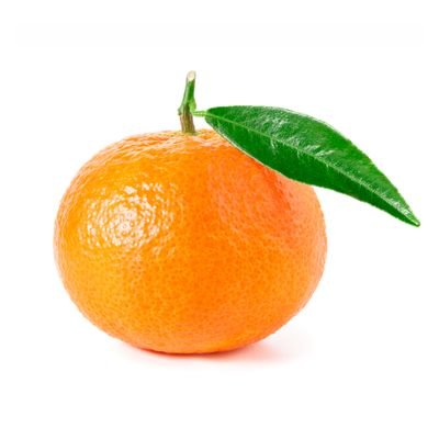 mandalina 🍊さんのプロフィール画像