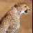 crasherth's profile image