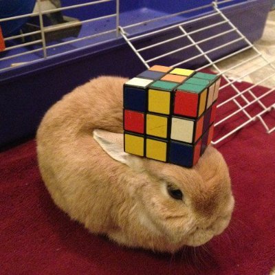 BB_Basic's profile picture. https://t.co/G1XkGU4gVl