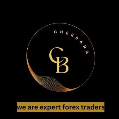 Am an expert forex trader who uses high-frequency trading software to trade the forex currency markets, I have a proper plan and strategies to make a profit.