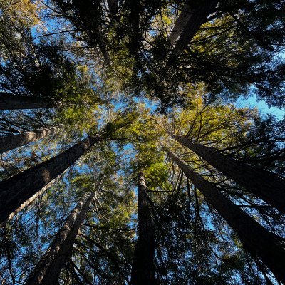 elias_berbari13's profile picture. how neat is that