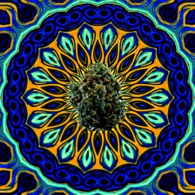 New Collab with @WeedChain_NFT

First Weed Strains #Project on #opensea 🚨

Follow 👉🏿 @BogCrypto 👉🏿 @LuckybogTMD