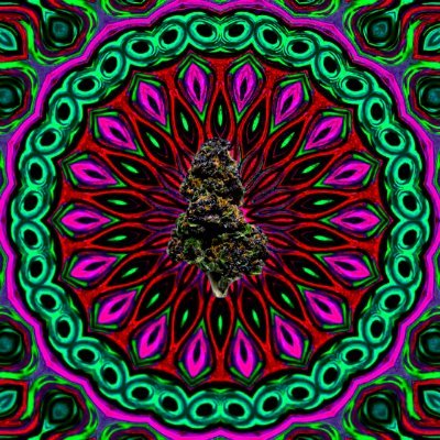 WeedChain_NFT's profile picture. The BIGGEST Weed #Project on #opensea🚀
Let's collect them all‼️🔥