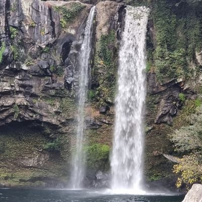 ys9inJxwErsmWG7's profile picture. 웃으며 재미나게~~