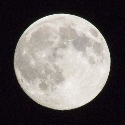 Monica___sg98's profile picture. 🌕