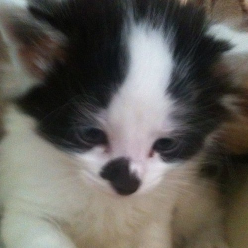 sevilbes's profile picture. 