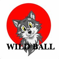 _WILDBALL_(@_wildball_) 's Twitter Profile Photo