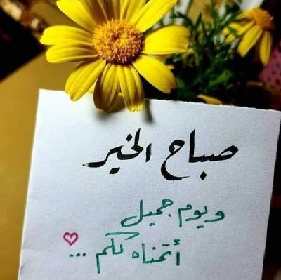 2m0a2z3en's profile picture. .