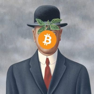 HalvingFunBTC's profile picture. Macro. Decentralization. Energy. Human rights. Freedom. Bitcoin.