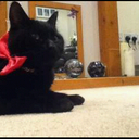 Rebecca Kate Leslie - @beccabethbecca - Twitter