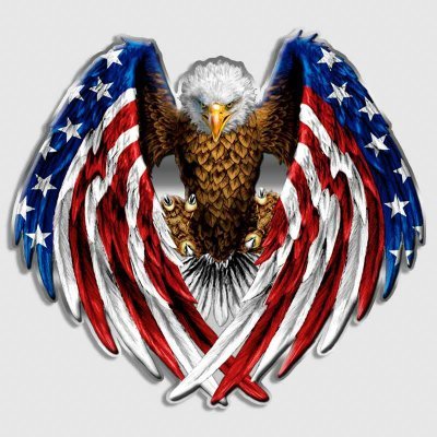 Loyal Trump supporter from the beginning! God Wins! Strong Christian ~ Pro Life ~ Pro Military ~ America FIRST!! ULTRA MAGA STRONG! #Dilley300 #TrumpWon #FJB