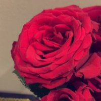 دلآل الشَهراني (@dalal_m_sh) Twitter profile photo