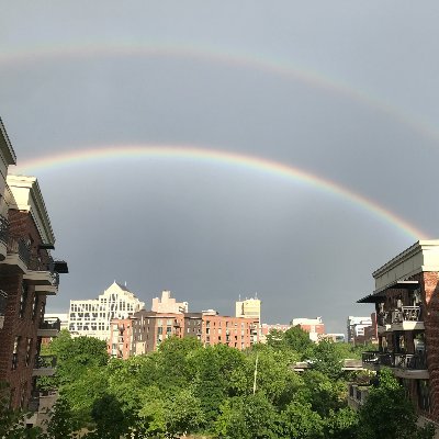 bobgentry5's profile picture. The world needs more love.