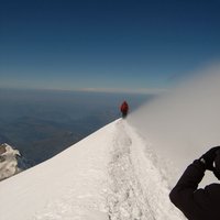 Brett Birthisel (@birhtize) 's Twitter Profile