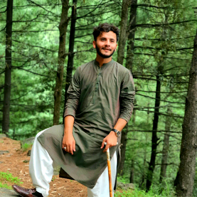 MalikZulkiffal's profile picture. 