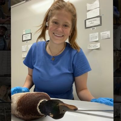 PhD student studying waterfowl genomics @Lavretskylab                                                     — 2020 LSU BS in Natural Resource Ecology & Management