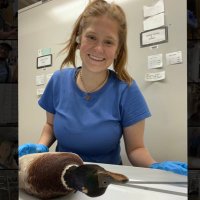 Lauren McFarland (@laurmcfar) 's Twitter Profile